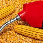 US pulls back support on biofuel quotas