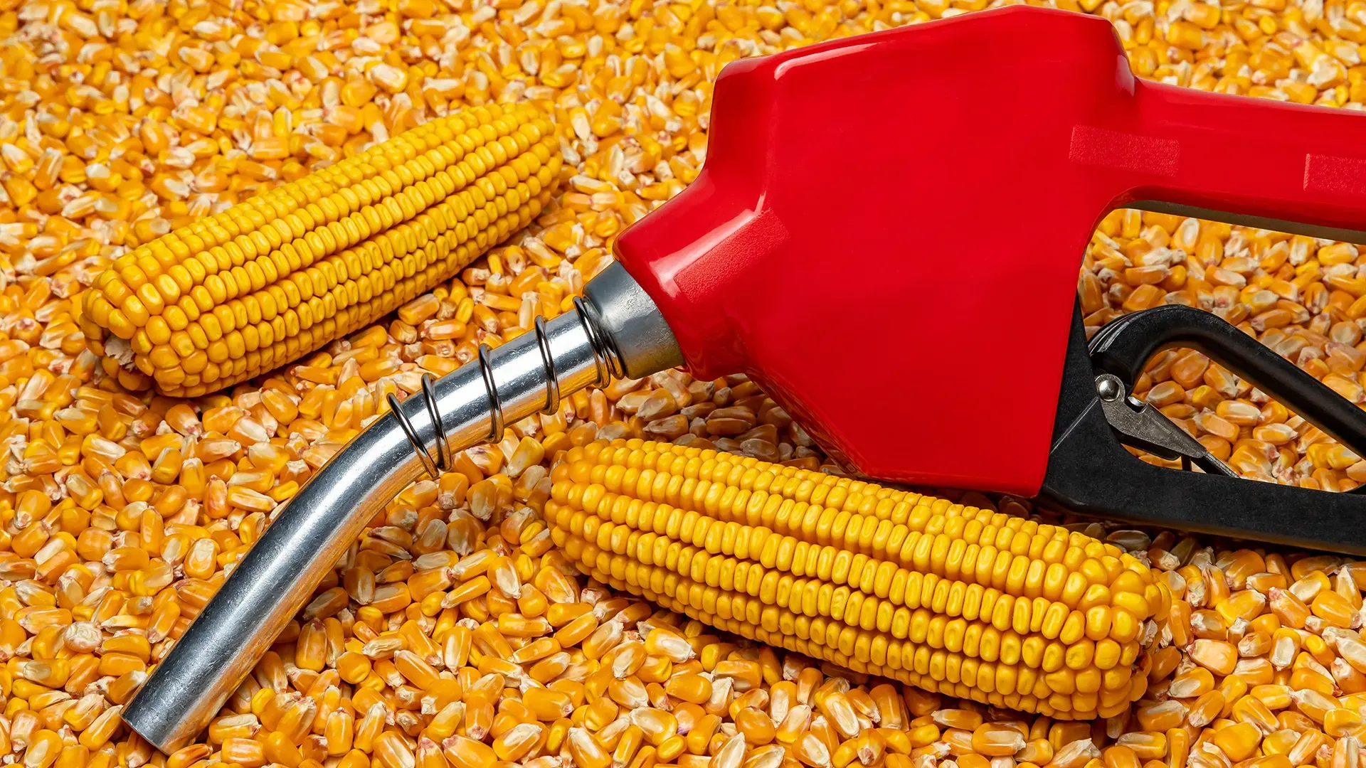 US pulls back support on biofuel quotas