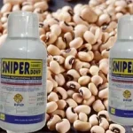 TOXIC PESTICIDES IN BEANS