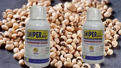 TOXIC PESTICIDES IN BEANS