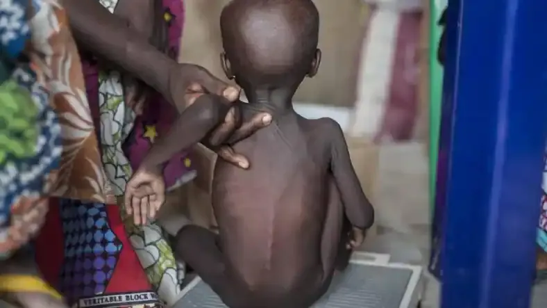 Food Security: UN allocates $20m to North East Nigeria
