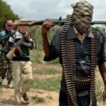 Zulum condemns killing of 8 farmers by ISWAP in Borno