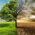 Nigeria can achieve zero emission through carbon pricing – NCCC