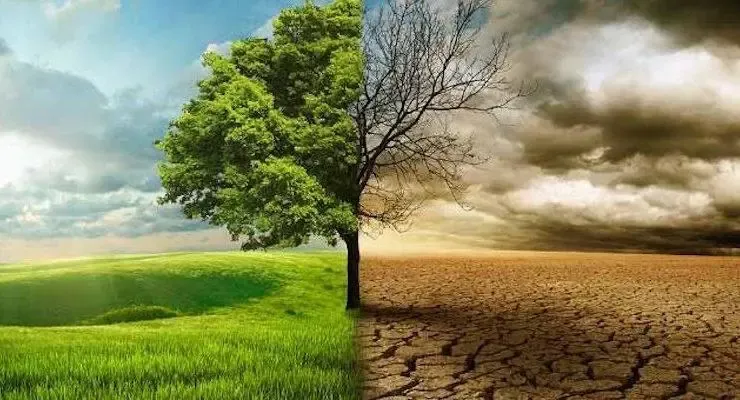 COP29: FG orders creation of portal to limit attendance