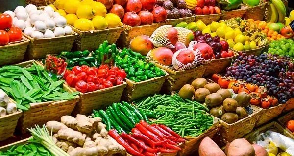 Global commodities’ prices up 1.3% in July – FAO