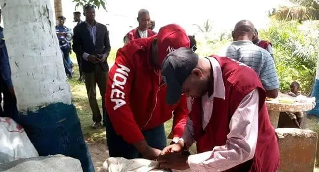 NDLEA nabs 84 suspects, seizes 451.976kg illicit substances in Kaduna