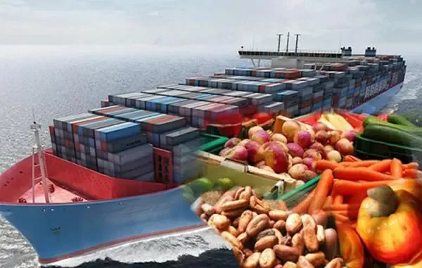 SEC, FMMSD seek to raise capital for non-oil sector