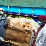 Customs Seizes Smuggled Donkey Skin, Petrol In Adamawa, Taraba