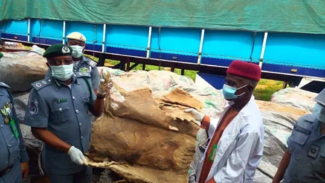 Customs Seizes Smuggled Donkey Skins, Petrol In Adamawa, Taraba