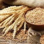 FG Obtains $163m AfDB Loan To Boost Wheat Production