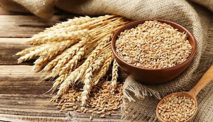 FG Obtains $163m AfDB Loan To Boost Wheat Production