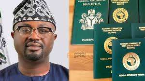 Niger, others hold Nigerian Passports – Interior Minister Tunji-Ojo…as lawyers call for the need to break the old order of governance