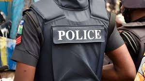 Police Kill ‘Wanted Notorious Kidnappers,’ Destroy Camps in Abuja