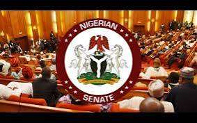 Senate Forms Ad-Hoc Committee to Probe Financial Controversies