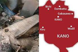 Death Toll In Kano Mosque Attack Rises To Eleven