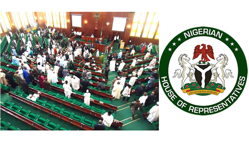 Reps Propose Removal of NECO, UI, Police from 2025 Budget