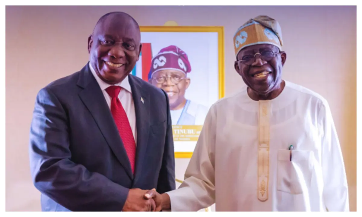 South Africa To Partner Nigeria on Lithium for EV Growth, G20