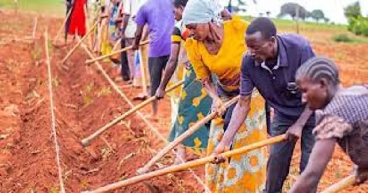 Enugu govt blazes embraces climate smart agriculture