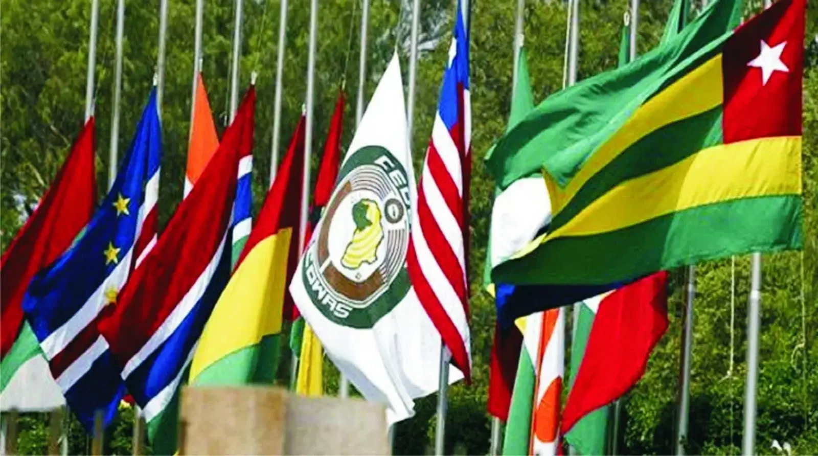 ECOWAS Leaders Renew Call for United Front Against Terrorism