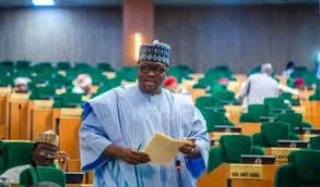 Reps Minority Alleges Illegal Tampering with Nigeria’s Tax Laws