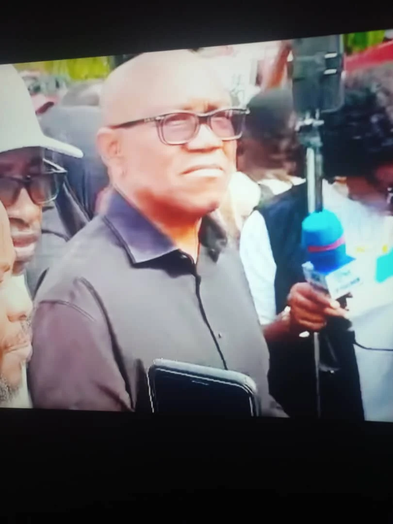 Peter Obi, Activists Protest at National Assembly Over Electoral Act Reform Bill